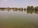 kupsinci_4